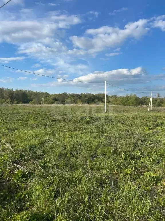 Участок в Тульская область, Тула городской округ, д. Медвенка  (13.7 ... - Фото 2