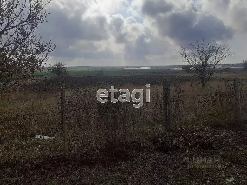 Участок в Крым, Сакский район, Ореховское с/пос, с. Червоное ул. ... - Фото 2