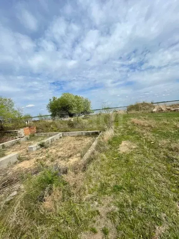 Участок в Амурская область, Благовещенский район, с. Новопетровка ... - Фото 0