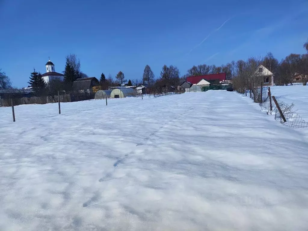 Участок в Московская область, Лотошино муниципальный округ, д. ... - Фото 1
