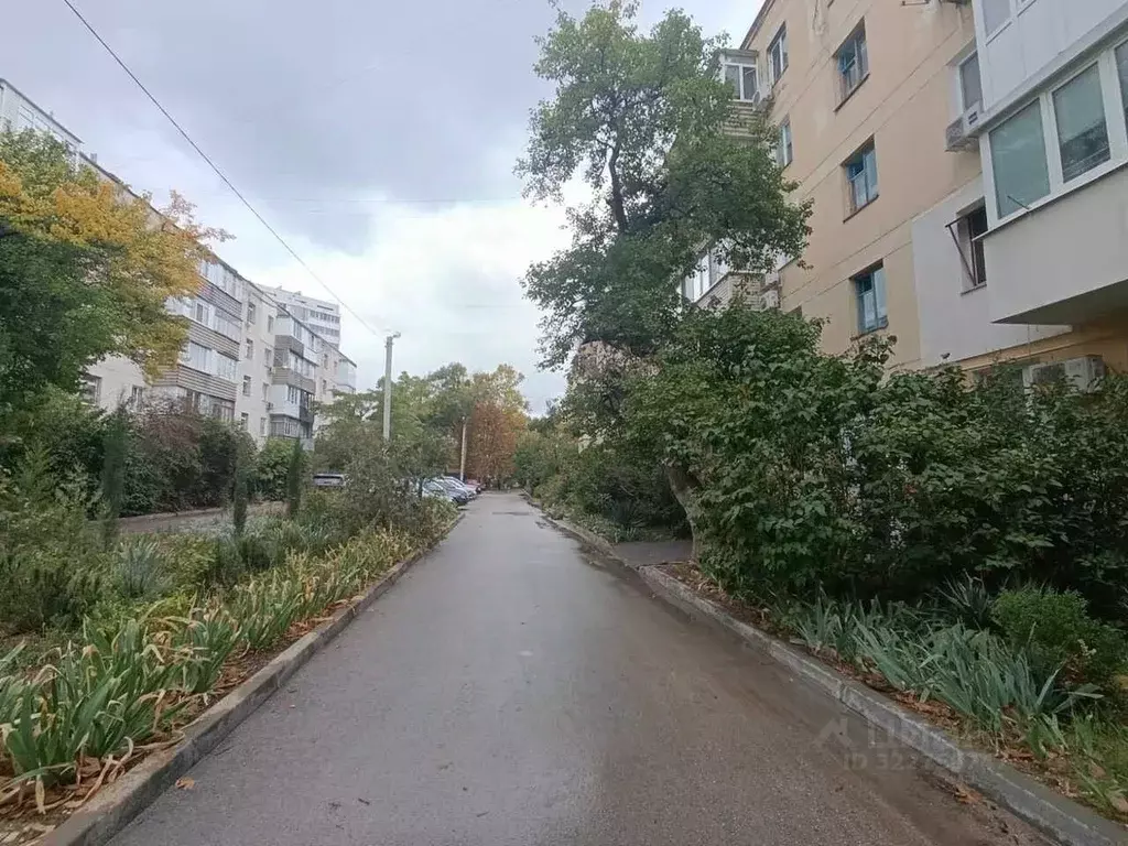 1-к кв. Севастополь просп. Октябрьской Революции, 35 (30.5 м) - Фото 1