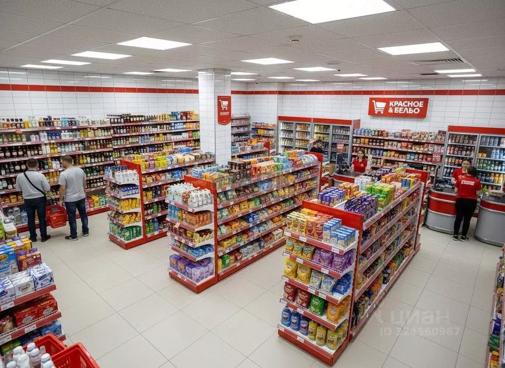 Помещение свободного назначения в Краснодарский край, Анапа ул. ... - Фото 2