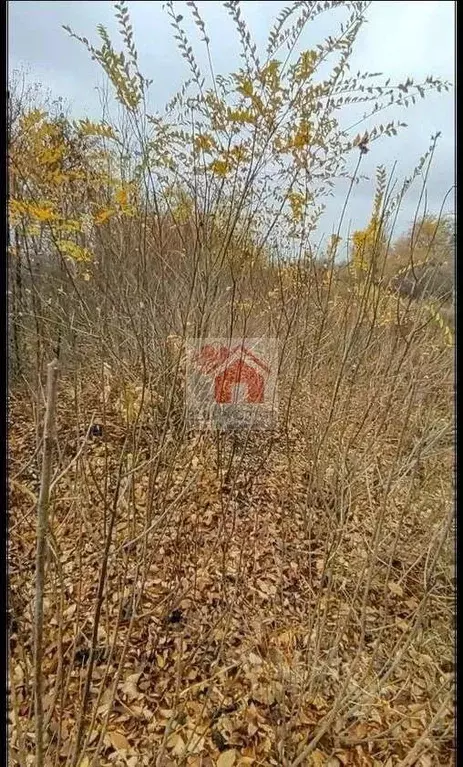 Участок в Самарская область, Волжский район, Лопатино с/пос, пос. ... - Фото 1