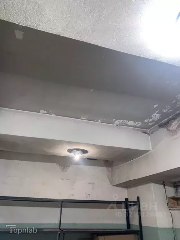 Гараж в Алтайский край, Барнаул Партизанская ул., 83 (21 м) - Фото 1