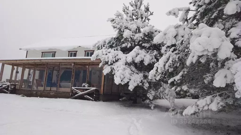 Дом в Псковская область, Печорский муниципальный округ, д. Малая ... - Фото 1