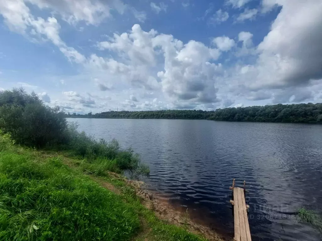 Участок в Новгородская область, Парфинский район, Федорковское с/пос, ... - Фото 1