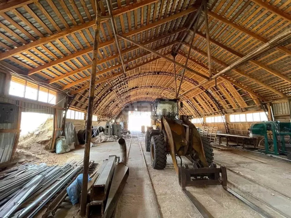 Склад в Томская область, Асино ул. Мичурина, 6/1с6 (1340 м) - Фото 1