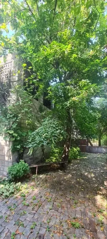 Дом в Волгоградская область, Волгоград Оскольская ул., 19 (85 м) - Фото 1