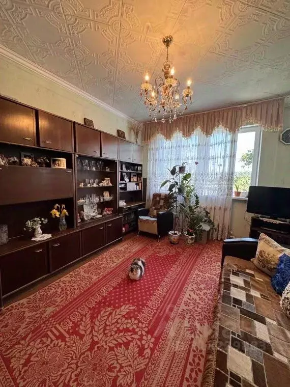 3-к кв. Саратовская область, Саратов ул. Камчатская, 55 (62.8 м) - Фото 1