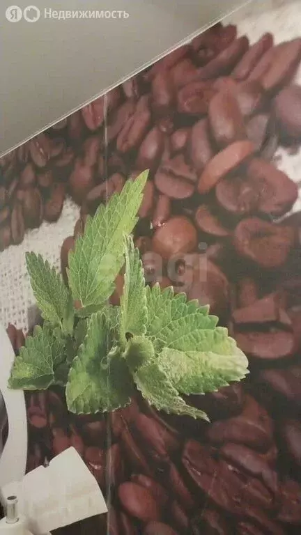 2-комнатная квартира: Кемерово, проспект Ленина, 60В (62 м) - Фото 2