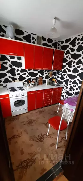 1-к кв. Краснодарский край, Новороссийск ул. Куникова, 50А (30.0 м) - Фото 1