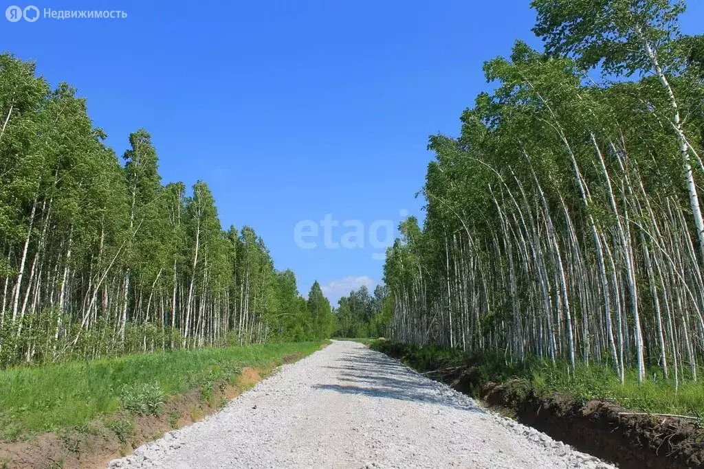 Участок в Мошковский район, коттеджный посёлок Берёзовый (9 м) - Фото 1