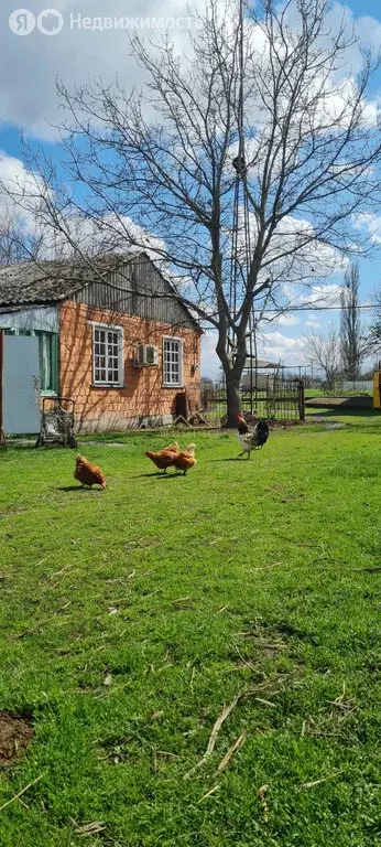 Дом в село Дарг-Кох, 6 (66 м) - Фото 1