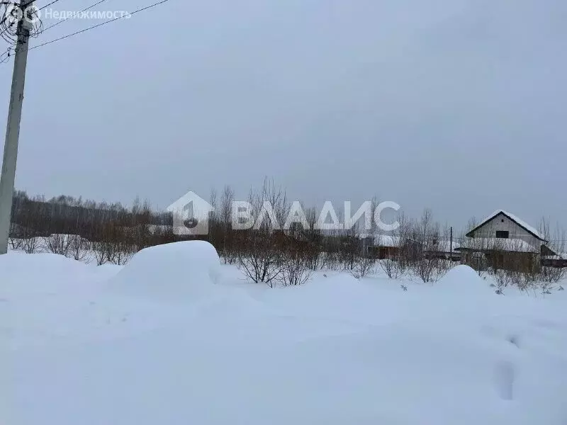 Участок в Нижегородская область, Богородский муниципальный округ, ... - Фото 1