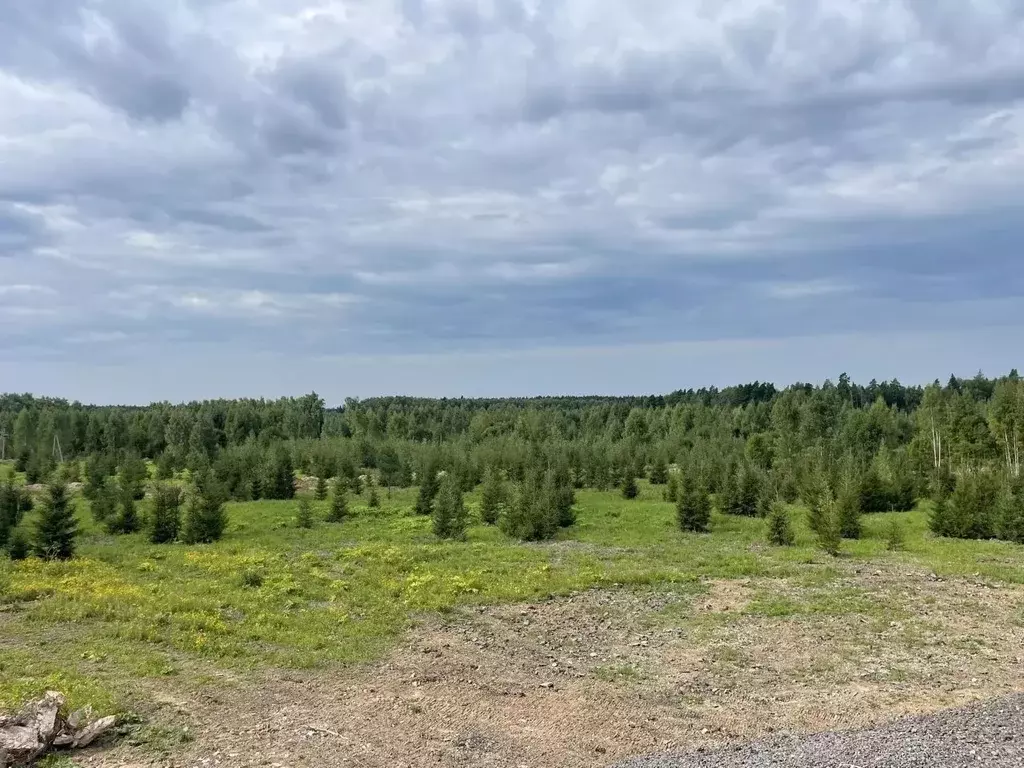 Участок в Московская область, Солнечногорск городской округ, д. ... - Фото 2