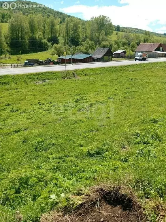 Участок в Чойский район, село Сугул, Поселковая улица (24.1 м) - Фото 2