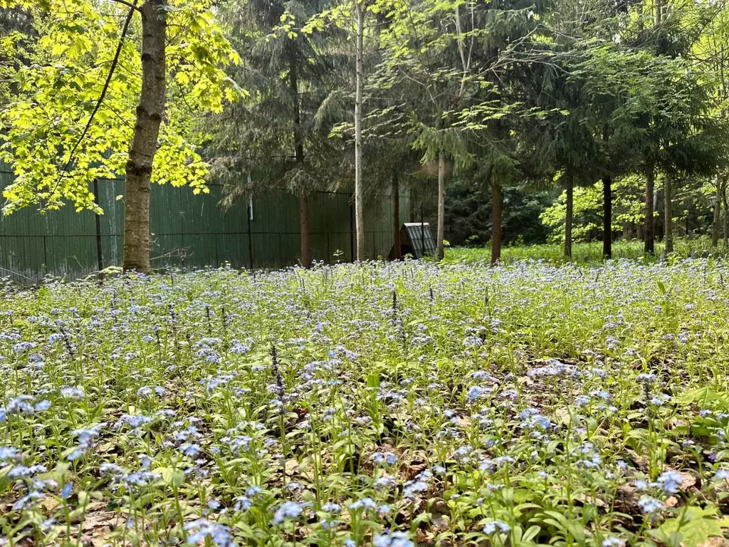 Участок в Московская область, Одинцовский городской округ, ... - Фото 2