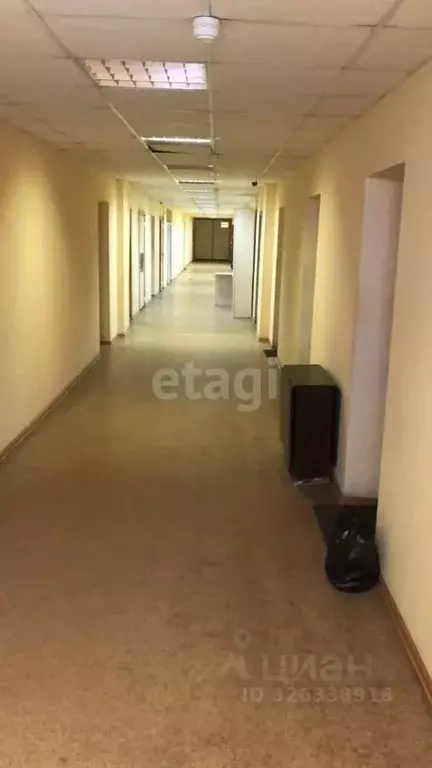 Офис в Камчатский край, Петропавловск-Камчатский ул. Лукашевского, 11 ... - Фото 2