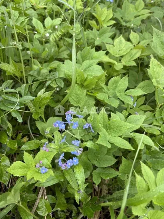 Дом в Санкт-Петербург аллея 16-я, 12 (160 м) - Фото 2