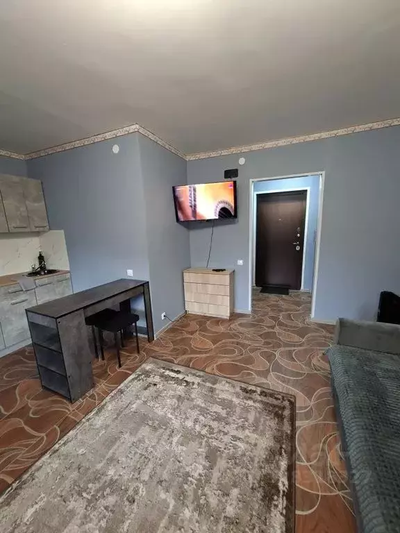 Студия Хакасия, Абаза ул. ДОЗ, 24 (28.0 м) - Фото 2