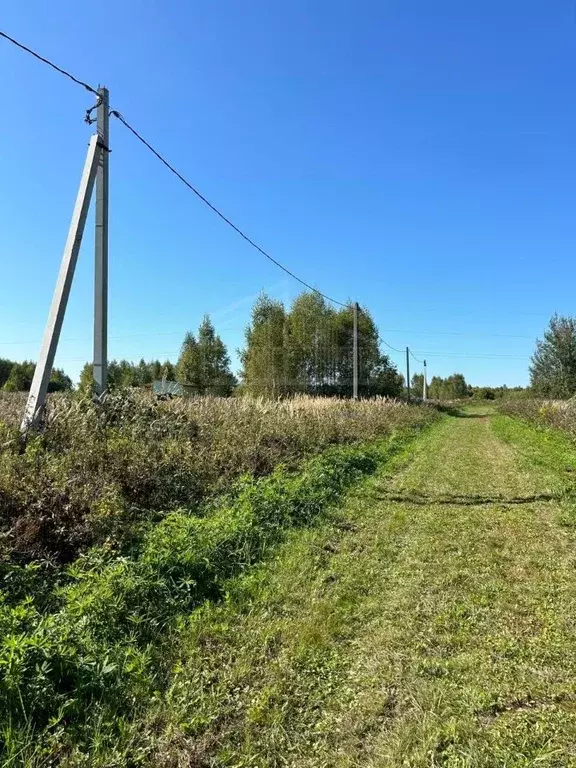 Участок в Владимирская область, Александровский район, Андреевское ... - Фото 0