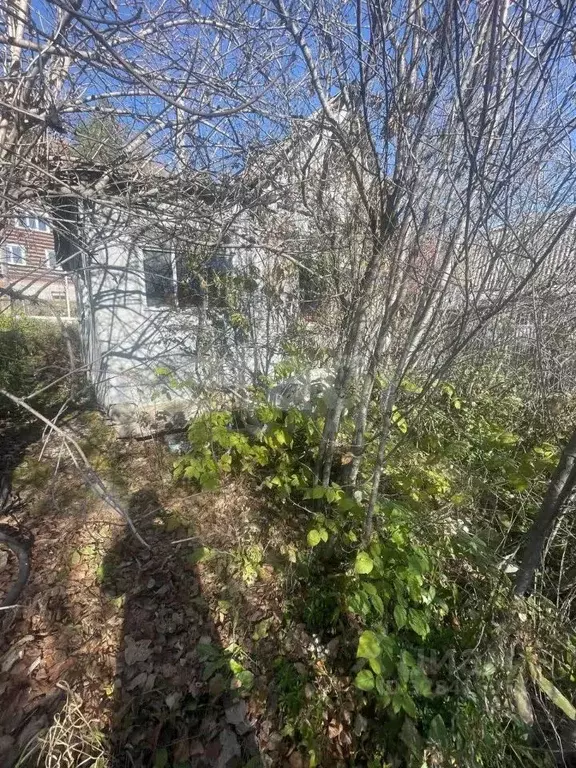 Участок в Челябинская область, Миасс Дачный СНТ, 191 (4.0 сот.) - Фото 1