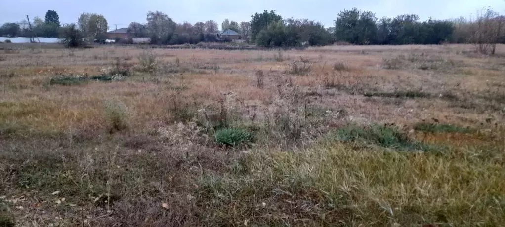 Участок в Белгородская область, Красногвардейский район, Калиновское ... - Фото 1