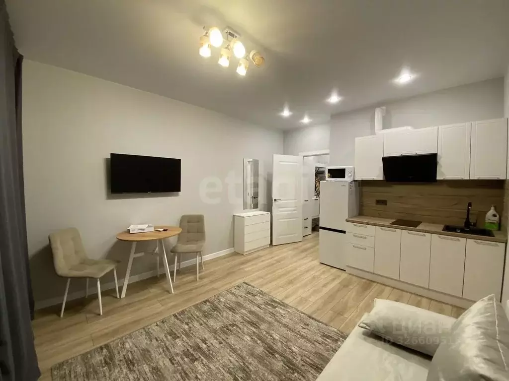 Студия Краснодарский край, Краснодар ул. Ивана Беличенко, 90к1 (22.4 ... - Фото 2