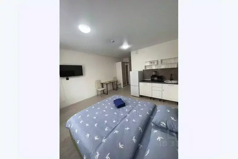 1-к кв. Свердловская область, Екатеринбург ул. Фрунзе, 31 (30.0 м) - Фото 1