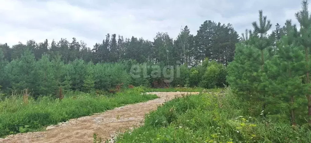 Участок в Свердловская область, Белоярский муниципальный округ, пос. ... - Фото 1