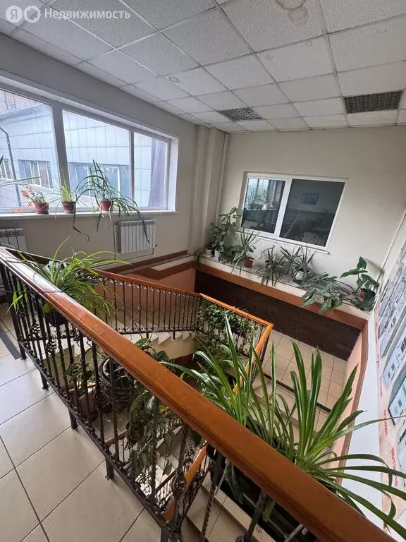 Помещение свободного назначения (4905 м) - Фото 1