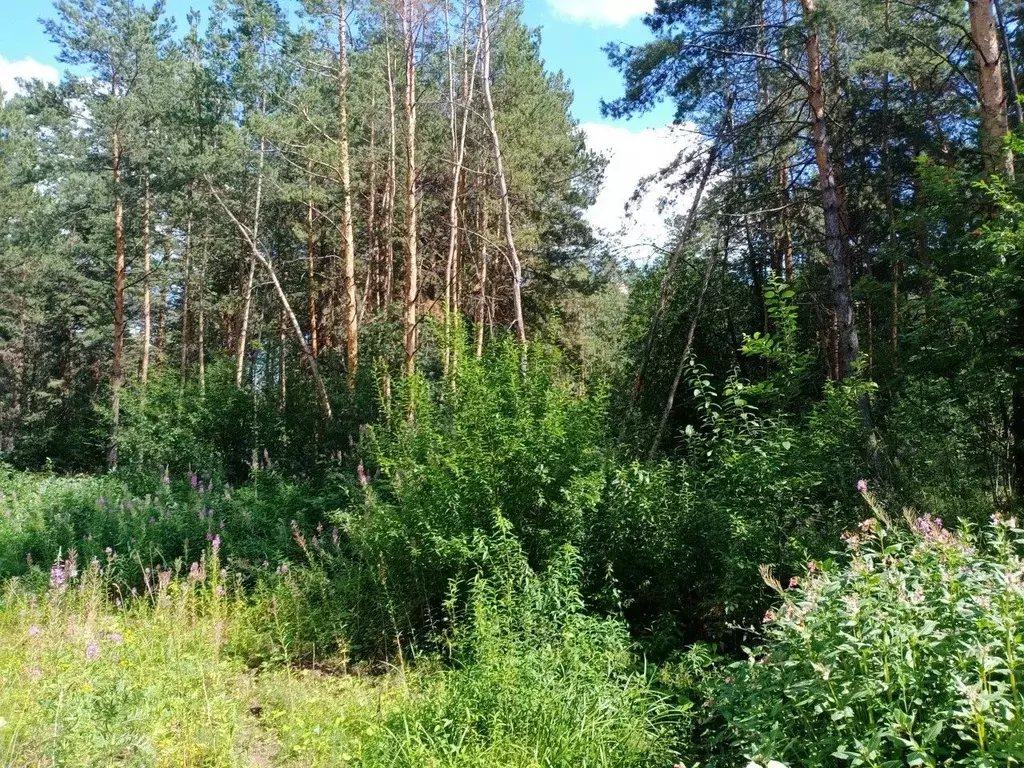 Участок в Свердловская область, Екатеринбург Усадьба-Лес ДНП,  (15.6 ... - Фото 1