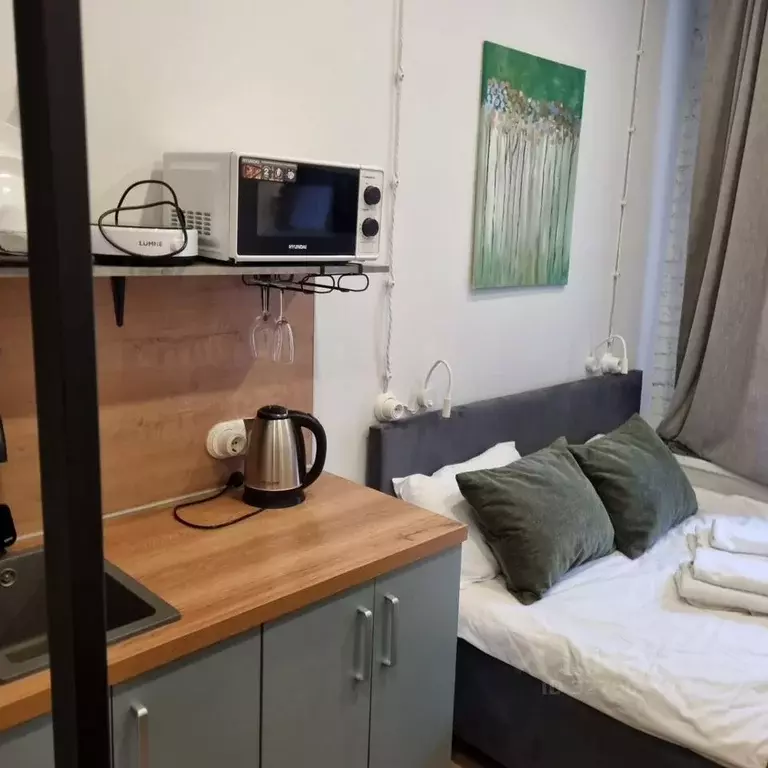 Студия Санкт-Петербург ул. Марата, 60/7 (12.0 м) - Фото 2