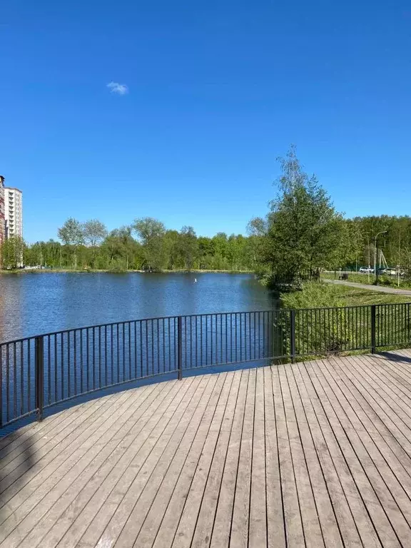 1-к кв. Московская область, Люберцы городской округ, д. Островцы, ... - Фото 2