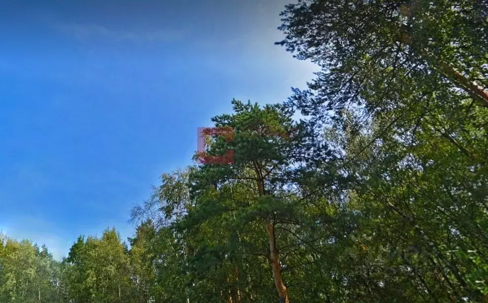 Участок в Московская область, Одинцовский городской округ, д. Шульгино ... - Фото 2