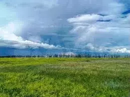 Участок 15 га (СНТ, ДНП) - Фото 0