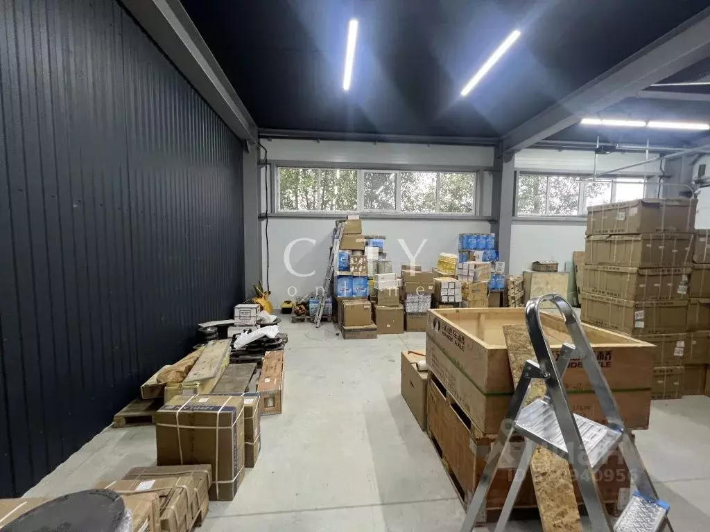 Торговая площадь в Тюменская область, Тюмень ул. Республики, 255к1 ... - Фото 2