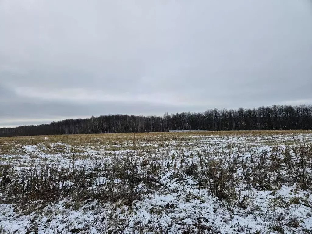 Участок в Московская область, Домодедово городской округ, д. Красино  ... - Фото 1