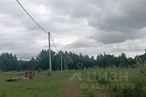 Участок в Новгородская область, Новгородский район, Ракомское с/пос, ... - Фото 2