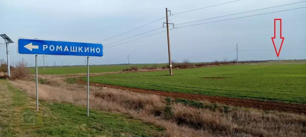 Участок в Крым, Сакский район, с. Молочное  (500.0 сот.) - Фото 1