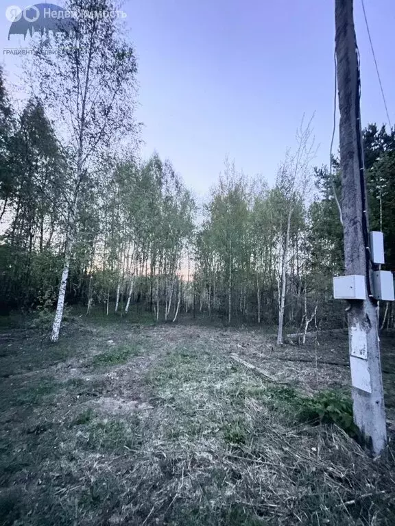 Участок в Зеленодольский район, Бишнинское сельское поселение, СНТ ... - Фото 0