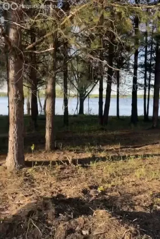 Участок в Пермский муниципальный округ, квартал Новые Гамы (18.3 м) - Фото 1