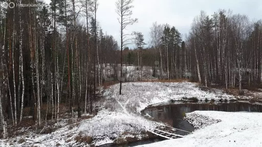Участок в Куйвозовское сельское поселение, КП Киварин хутор (38 м) - Фото 1
