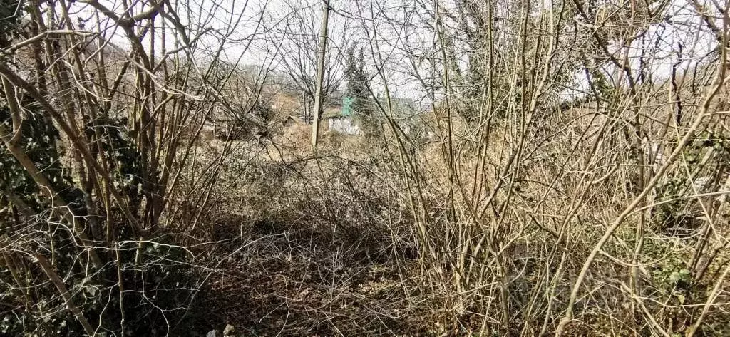 Участок в Краснодарский край, Геленджик городской округ, с. Пшада ул. ... - Фото 0