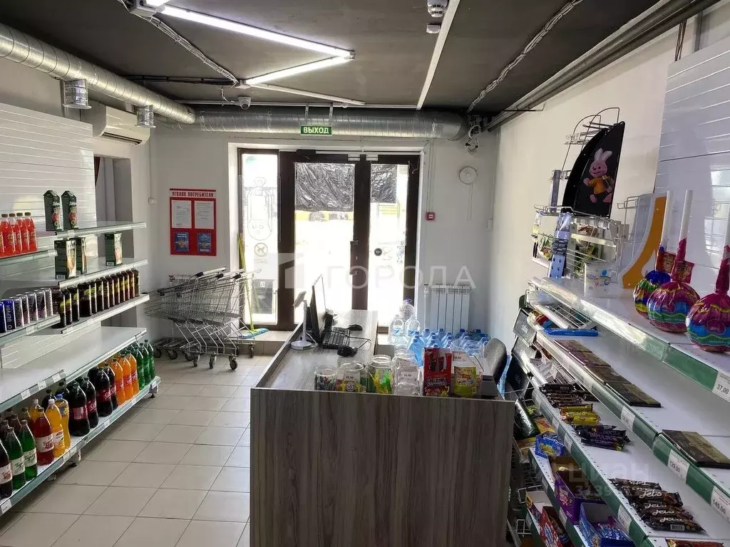 Помещение свободного назначения в Новосибирская область, Новосибирск ... - Фото 1