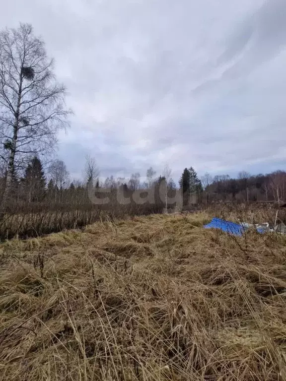 Участок в Калининградская область, Зеленоградский муниципальный округ, ... - Фото 2