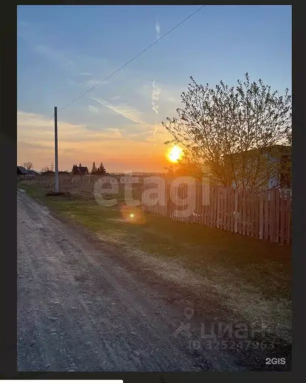 Участок в Новосибирская область, Коченевский район, д. Крохалевка  ... - Фото 1