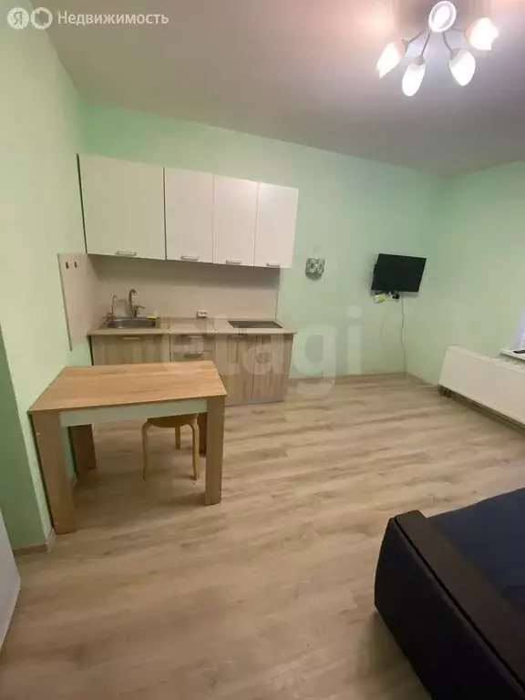 Квартира-студия: посёлок Шушары, Старорусский проспект, 13к1 (23.6 м) - Фото 1