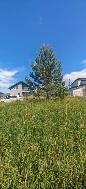 Участок в Алтай, Майминский район, с. Подгорное ул. Светлая (6.0 сот.) - Фото 1