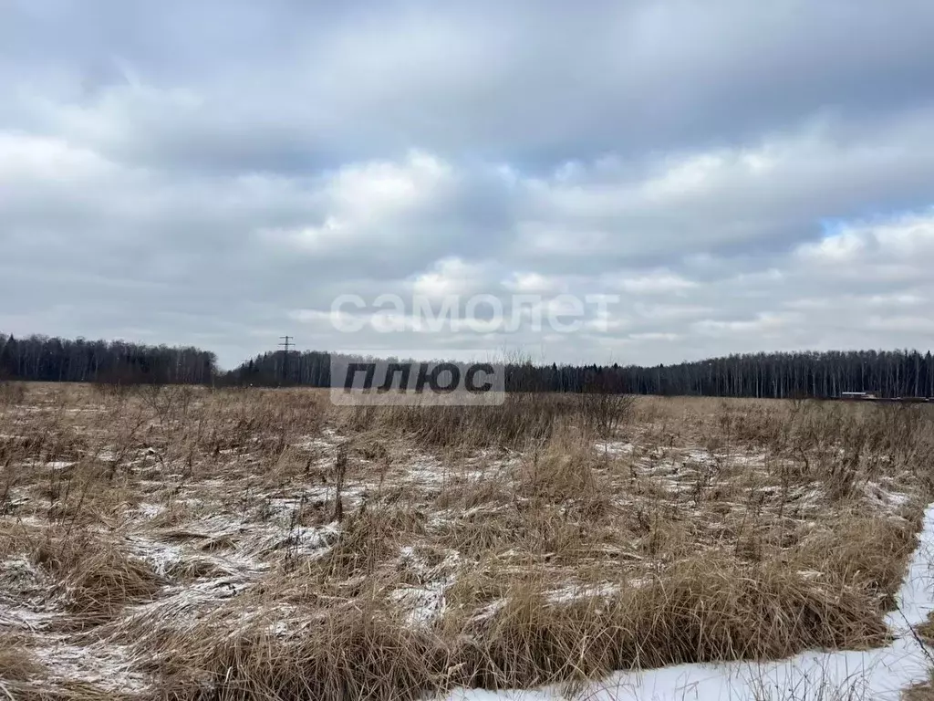 Участок в Московская область, Чехов муниципальный округ, д. Бершово  ... - Фото 2